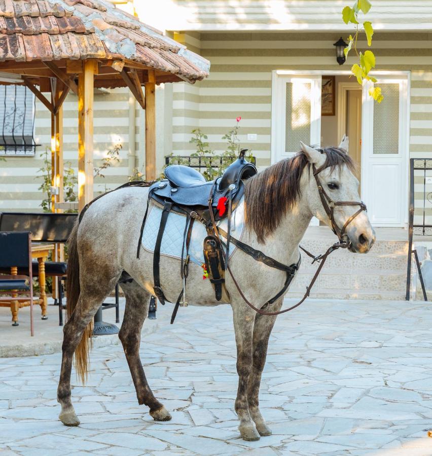 Vila 1 Korce Exteriér fotografie